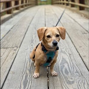 Meet your Posher, Jin